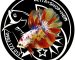 ca betta halfmoon koi nemo