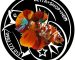 nuoi ca betta