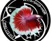ca betta thai