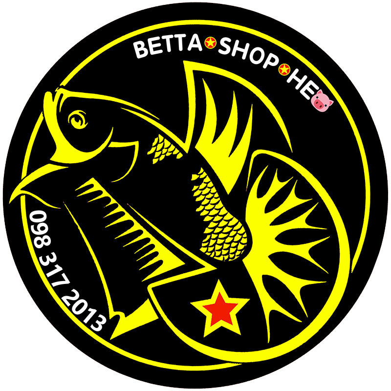 Cá Betta 8003 - Koi Nemo Candy Blue Fin Mark Mặt Nạ Trắng