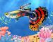 Cá guppy nhiều màu dễ nuôi trong bể cá mini