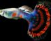 ca-guppy-dep-shopheo (47)